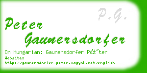 peter gaunersdorfer business card
